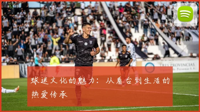 球迷文化的魅力:从看台到生活的热爱传承